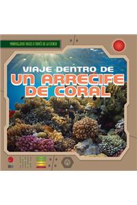 Viaje Dentro de Un Arrecife de Coral (a Trip Through a Coral Reef)