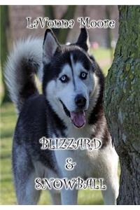 Blizzard & Snowball