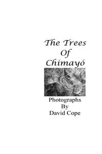The Trees Of Chimayo