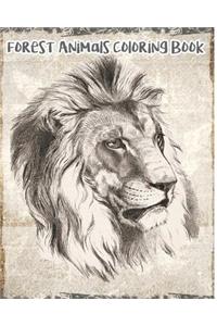 Forest Animals Coloring Book
