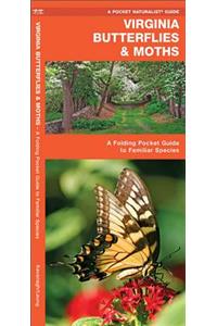 Virginia Butterflies & Moths