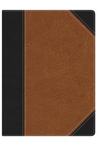 Holman Study Bible-NKJV