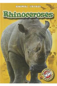 Rhinoceroses