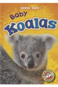 Baby Koalas