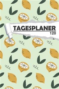 Tagesplaner Zitrusfrucht