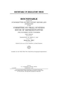 Roundtable on regulatory issues