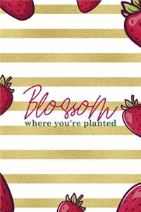 Blossom Where You're Planted