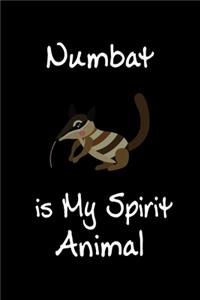 Numbat is My Spirit Animal