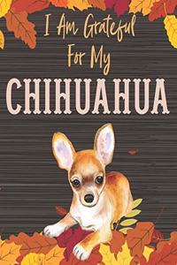 I Am Grateful For My Chihuahua