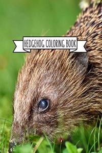 Hedgehog Coloring Book