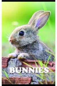 Bunnies Note Monthly 2020 Planner 12 Month Calendar