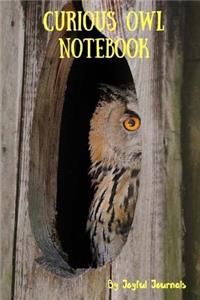 Curious Owl Notebook (Journal Diary) (Journal Notebook)