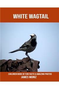 White Wagtail: Children Book of Fun Facts & Amazing Photos