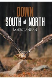 Down South of North