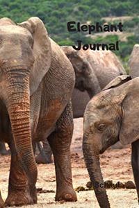 Elephant Journal