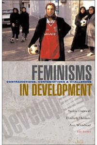 Feminisms in Development