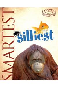 Smartest and Silliest