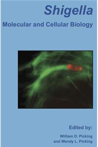 Shigella