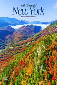 New York Wild & Scenic 2023 Mini 7x7