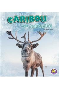 Caribou Are Awesome