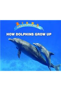 How Dolphins Grow Up