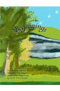 Beginnings
