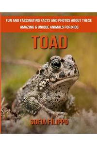 Toad