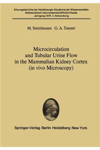 Microcirculation and Tubular Urine Flow in the Mammalian Kidney Cortex (in Vivo Microscopy)