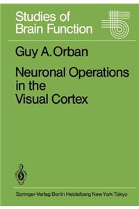 Neuronal Operations in the Visual Cortex