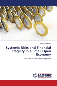 Systemic Risks and Financial Fragility in a Small Open Economy