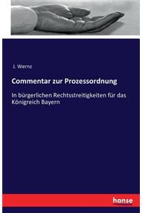 Commentar zur Prozessordnung