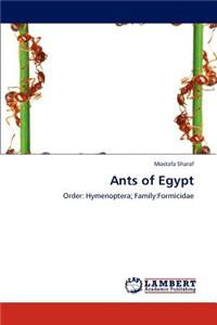 Ants of Egypt