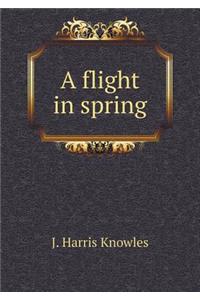 A flight in spring