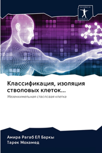 Классификация, изоляция стволовых клето