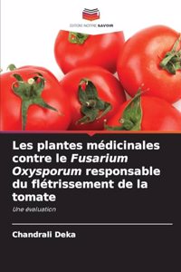 Les plantes médicinales contre le Fusarium Oxysporum responsable du flétrissement de la tomate