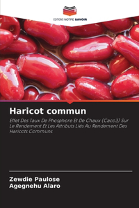 Haricot commun