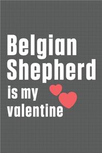 Belgian Shepherd is my valentine