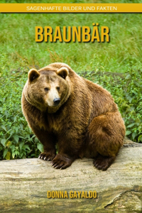 Braunbär