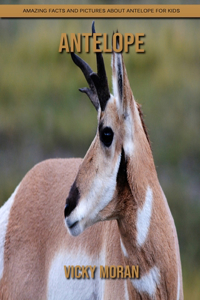 Antelope