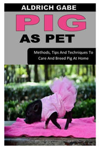 PIG AS PET