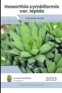 Haworthia cymbiformis var. lepida