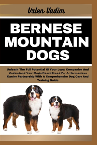 Bernese Mountain Dogs