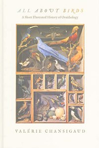 All about Birds