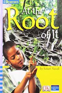 Iopeners at the Root of It 6 Pack Grade 3 2005c