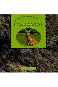 Kangaroos