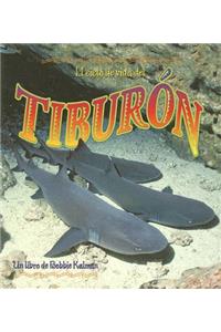 El Ciclo de Vida del Tiburón (the Life Cycle of a Shark)