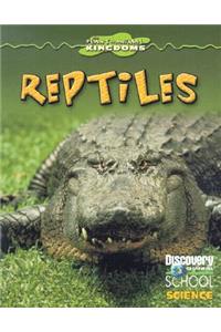 Reptiles