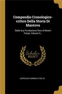 Compendio Cronologico-critico Della Storia Di Mantova: Dalla Sua Fondazione Sino Ai Nostri Tempi, Volume 5...