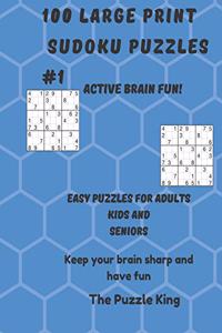 100 large print sudoku puzzles