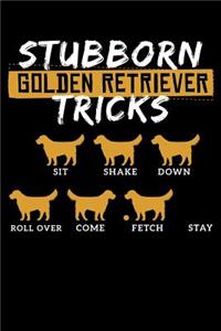 Stubborn Golden Retriever Tricks Sit Shake Down Rollover Come Fetch Stay